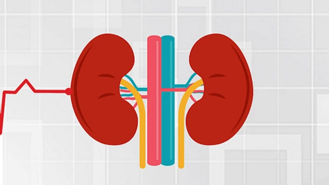 కిడ్నీలు