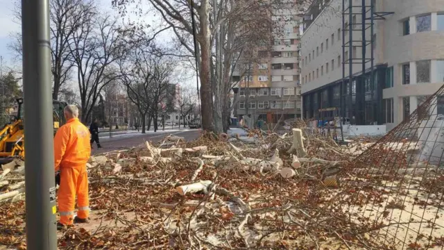 Radnici niškog Zelenila radili na neradni dan