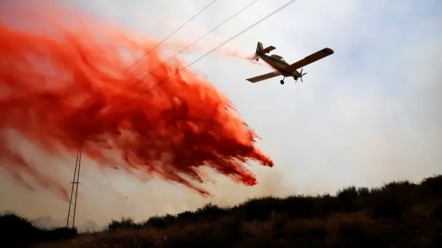 palestina, razan al najjar