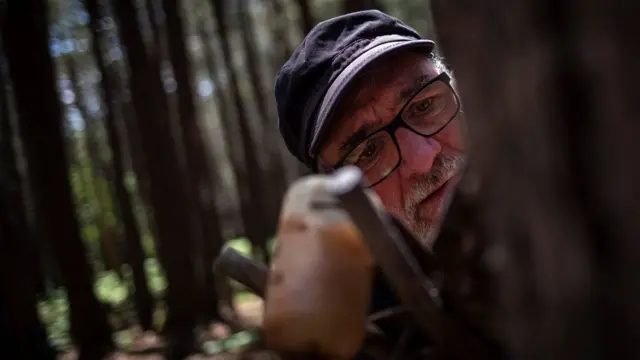 స్పెయిన్‌లో 90 శాతం రెసిన్ వెలికితీతకాస్టిల్లా వై లీయోన్ ప్రాంతంలోనే జరుగుతోంది.