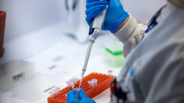 పరాన్న జీవులు, పరాన్న జీవుల పరివర్తన, స్నెయిల్ ఫీవర్