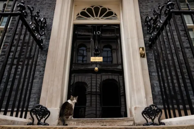 Кот Ларри у дверей Даунинг-стрит, 10