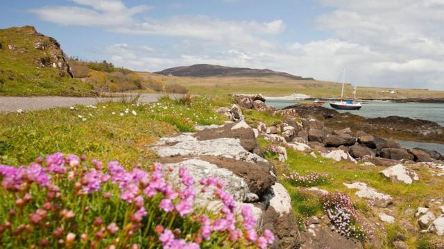 Flores e a paisagemgrupo de apostas esportivas pixbetEigg