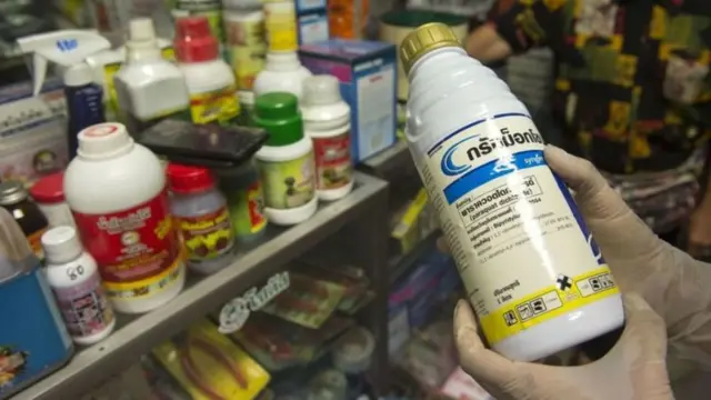 પ્રતીકાત્મક તસવીર