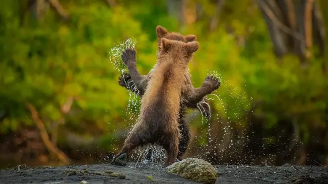 Koottaa waliin shubbisna