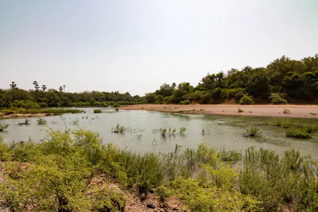Les eaux du fleuve Gambie dans le parc national du Niokolo-Koba, dans la région de Kédougou, au sud-est du Sénégal.