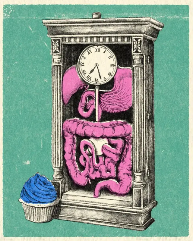 ilustrasi, pencernaan