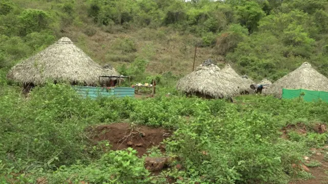 కాకినాడలో మొదటిసారి ఆదివాసీల ఓటు