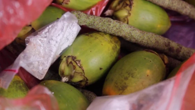 kanker mulut, tradisi pinang, perempuan, Papua