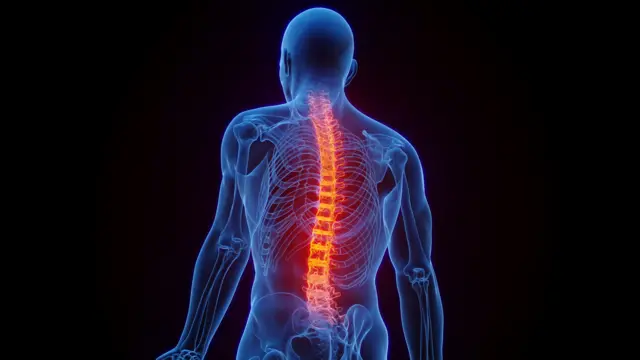 કરોડરજ્જુ, અમદાવાદ, ટાઇફૉઇડ બીબીસી ગુજરાતી, ગુજરાત