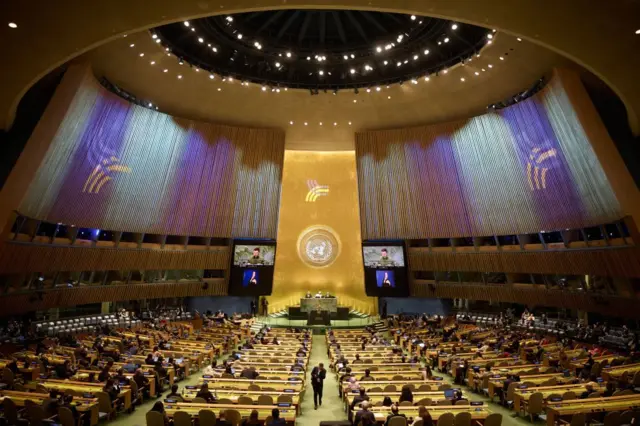 د ملګرو ملتونو سرمشريزه