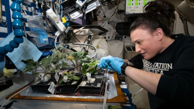 સુનીતા વિલિયમ્સ, અવકાશયાન, જમીન, બીબીસી ગુજરાતી, અવકાશમથક, નાસા, અમેરિકા