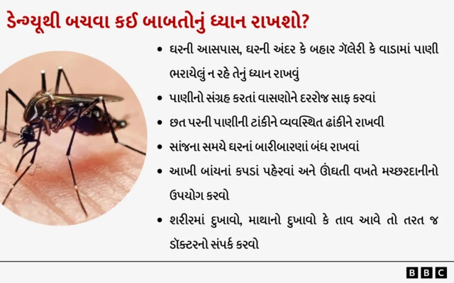 ડેન્ગ્યુ, સ્વાસ્થ્ય, સુરત, મચ્છરજન્ય રોગ, બીબીસી ગુજરાતી