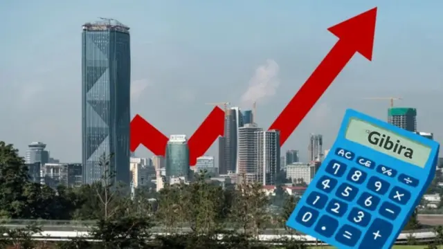 Qaala'iinsa jireenyaa giraafiidhaan