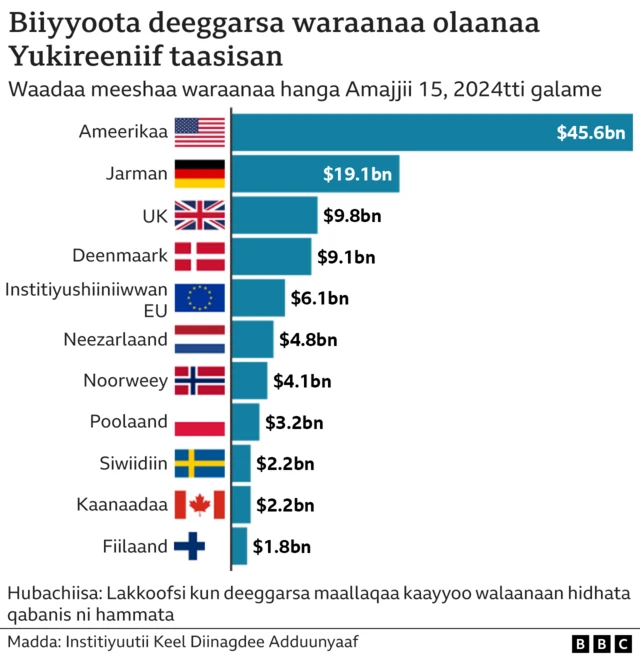 Biyyoota deeggarsa guddaa Yukireenif taasisan
