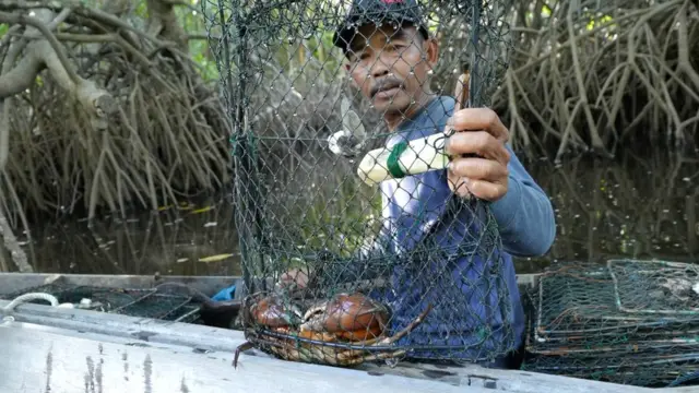 Zainudin, 49 tahun, mantan pelaku arang yang kini menjadi nelayan pembubuh kepiting.