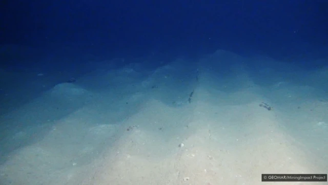 Ovi veštački tragovi na morskom dnu bili su stari 26 godina u trenutku