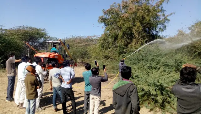 टिड्डियों का हमला