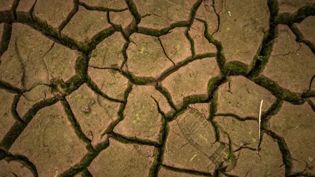 Se ve una huella en una sección ahora seca del embalse La Regadera.