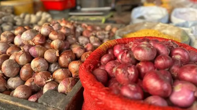 পেঁয়াজ