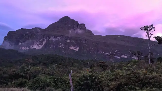 O Pico da Neblina