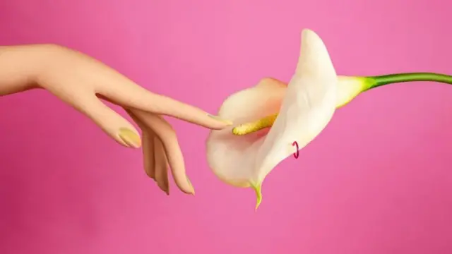 સેક્સ, બળાત્કાર, જાતીય ઇચ્છાઓ, રોપિનોરોલ, જીએસકે, દવા, સ્વાસ્થ્ય, તબીબીવિજ્ઞાન, બીબીસી ગુજરાતી