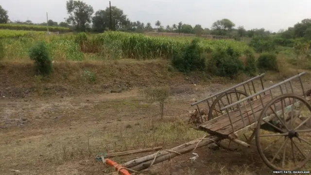 गावातील बंधारे कोरडे पडले आहेत.