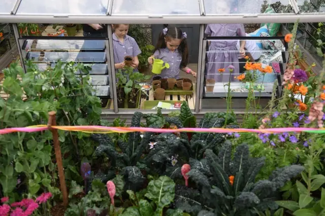 鼓励儿童参与园艺