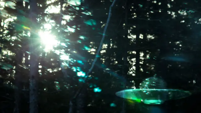 ovni en bosque