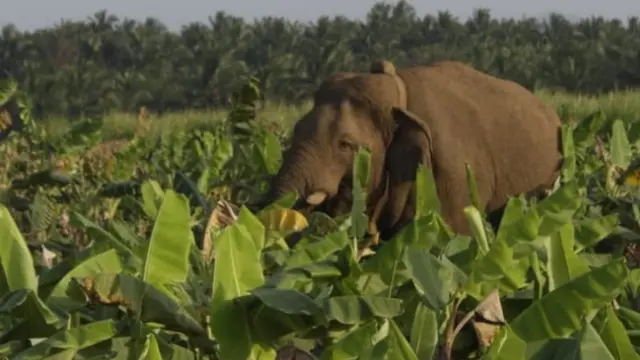 சின்னத்தம்பி