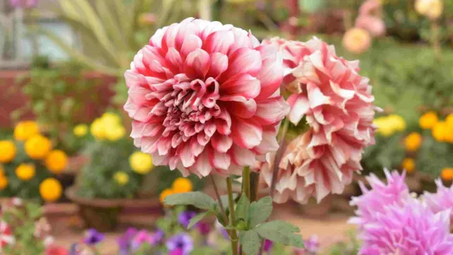 மு.வசந்த குமார், சென்னை