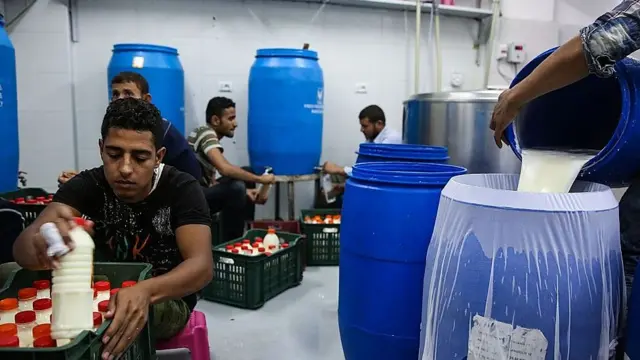 عمال في مصر