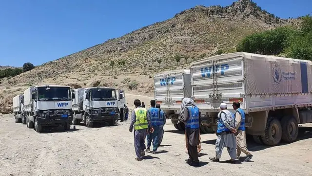 د خوړو نړيوال پروګرام