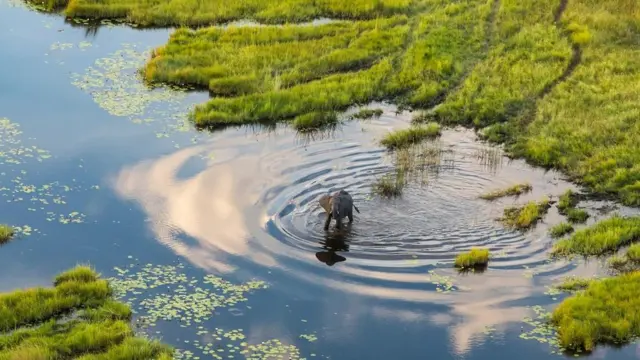 Di Okavango, Botswana