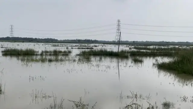 பிகார் எய்ம்ஸ்