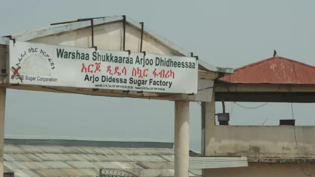 አርጆ ስኳር ፋብሪካ