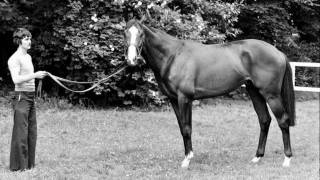 ਸ਼ੇਰਗਰ ਦੁਨੀਆ ਦਾ ਸਭ ਤੋਂ ਨਾਮੀ ਅਤੇ ਕੀਮਤੀ ਘੋੜਾ ਸੀ