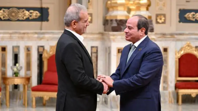 الرئيس المصري عبد الفتاح السيسي (يمين) والرئيس الإيراني مسعود بزشكيان (يسار) أثناء  القمة الحادية عشرة لمجموعة الدول النامية الثماني التي عقدت في القاهرة، في 19 ديسمبر/كانون الأول 2024.
