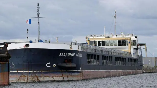 ইউক্রেন যুদ্ধ শুরু হওয়ার পর বহু রুশ কার্গো জাহাজ মার্কিন নিষেধাজ্ঞার মুখে পড়েছে। (ফাইল ছবি)