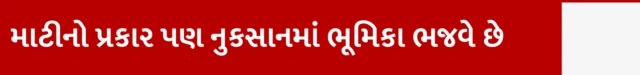 માટીનો પ્રકાર પણ નુકસાનમાં ભૂમિકા ભજવે છે