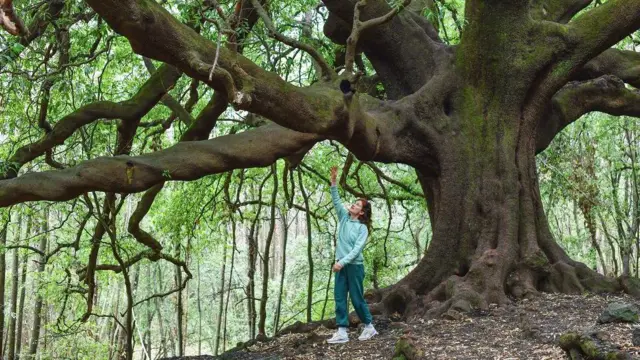 Perubahan iklim terpanas