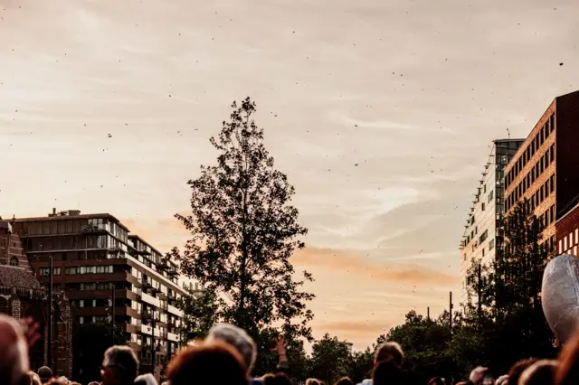 Poemas llueven desde el cielo en Róterdam
