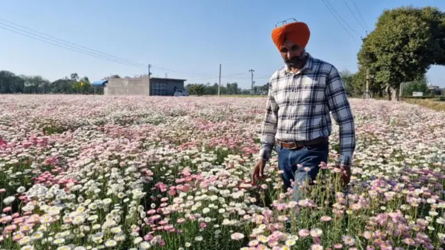 ਗੁਰਵਿੰਦਰ ਸਿੰਘ 