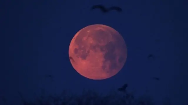 ปากีสถาน