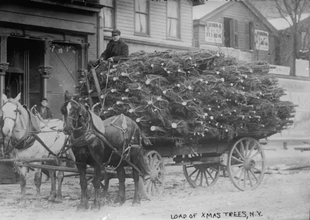 1910'larda ABD'de Noel ağacı satıcısı