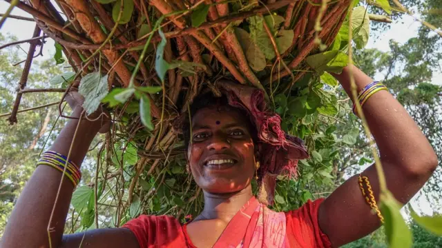 પ્રતીકાત્મક તસવીર