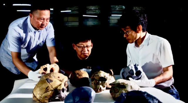 ਇਹ ਖੋਪੜੀ (ਮੱਧ ਚੀਨ ਦੇ) ਹੁਬੇਈ ਪ੍ਰਾਂਤ ਤੋਂ ਖੁਦਾਈ ਦੌਰਾਨ ਮਿਲੀ ਸੀ, ਅਤੇ ਇਸਦੇ ਨਾਲ ਦੋ ਹੋਰ ਖੋਪੜੀਆਂ ਵੀ ਮਿਲਿਆ ਸਨ