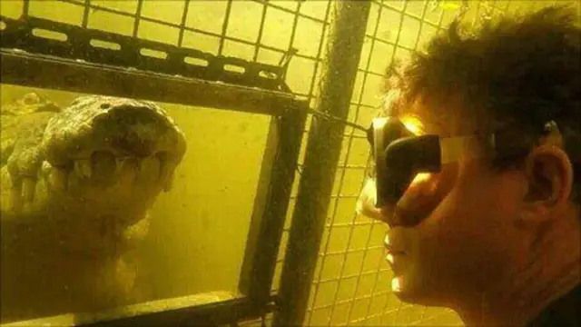 ब्रिटन और उसका मगरमच्छ स्मॉग 