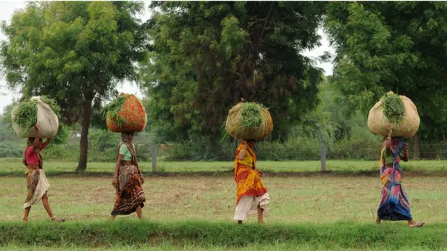 ખેડૂતોની તસવીર