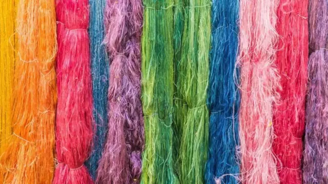 નાભિમાં મેલ